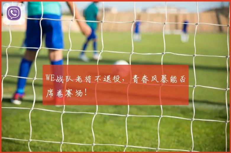 WE战队老将不退役，青春风暴能否席卷赛场！