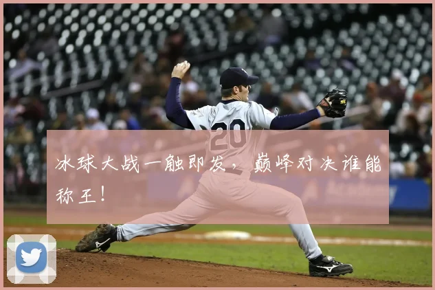 冰球大战一触即发，巅峰对决谁能称王！